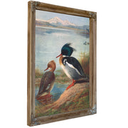 Red Breasted Merganser by Archibald Thorburn