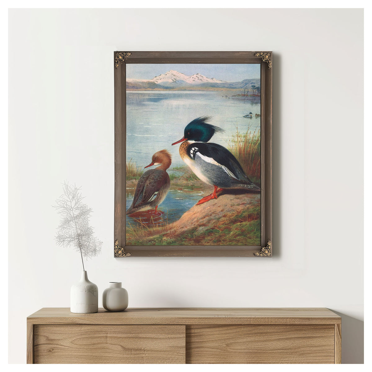 Red Breasted Merganser by Archibald Thorburn