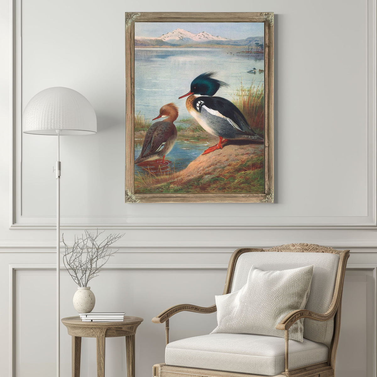 Red Breasted Merganser by Archibald Thorburn