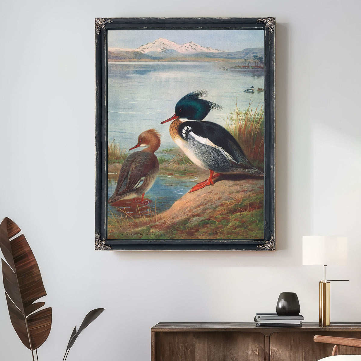 Red Breasted Merganser by Archibald Thorburn