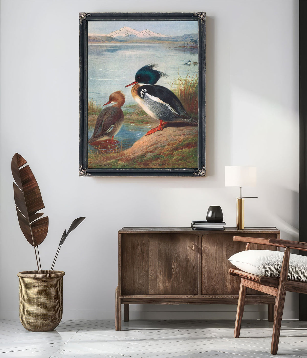 Red Breasted Merganser by Archibald Thorburn