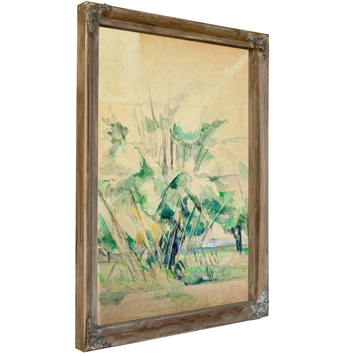 Reeds At Jas De Bouffan By Paul Cezanne