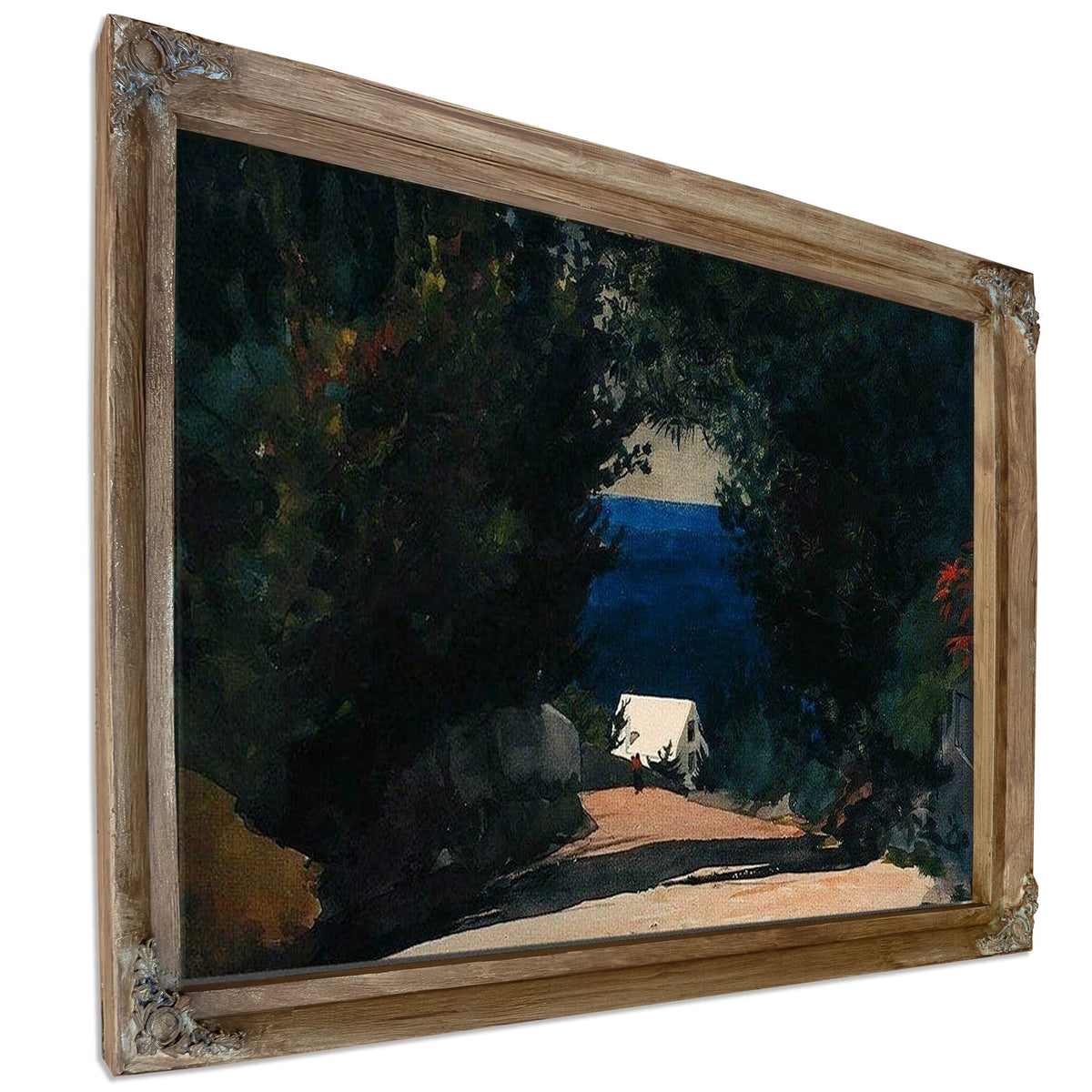 Road In Bermuda By Winslow Homer