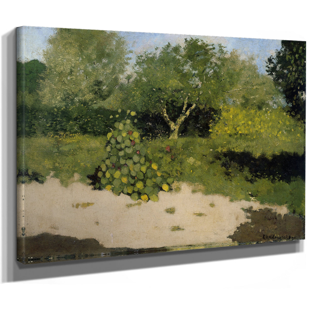Corner a Garden Nasturtiums By Roland Holst