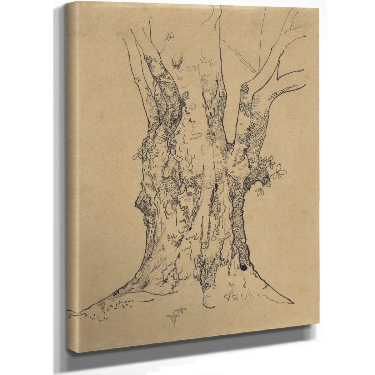 Dikke Boomstam By Roland Holst