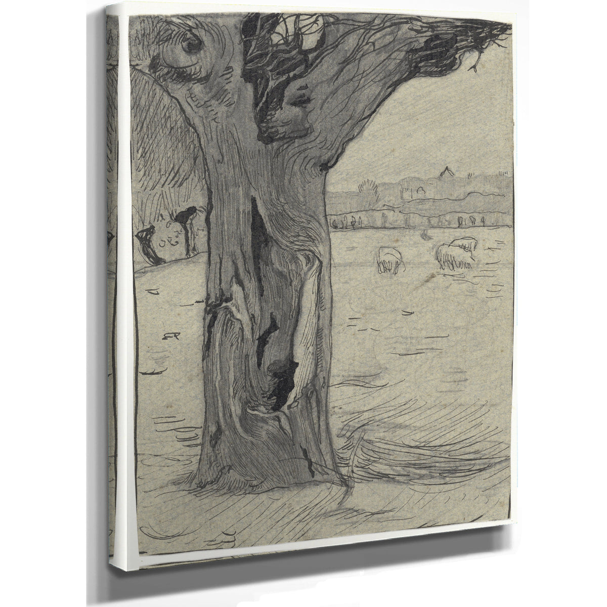 Knotwilg Een Weidelandschap By Roland Holst