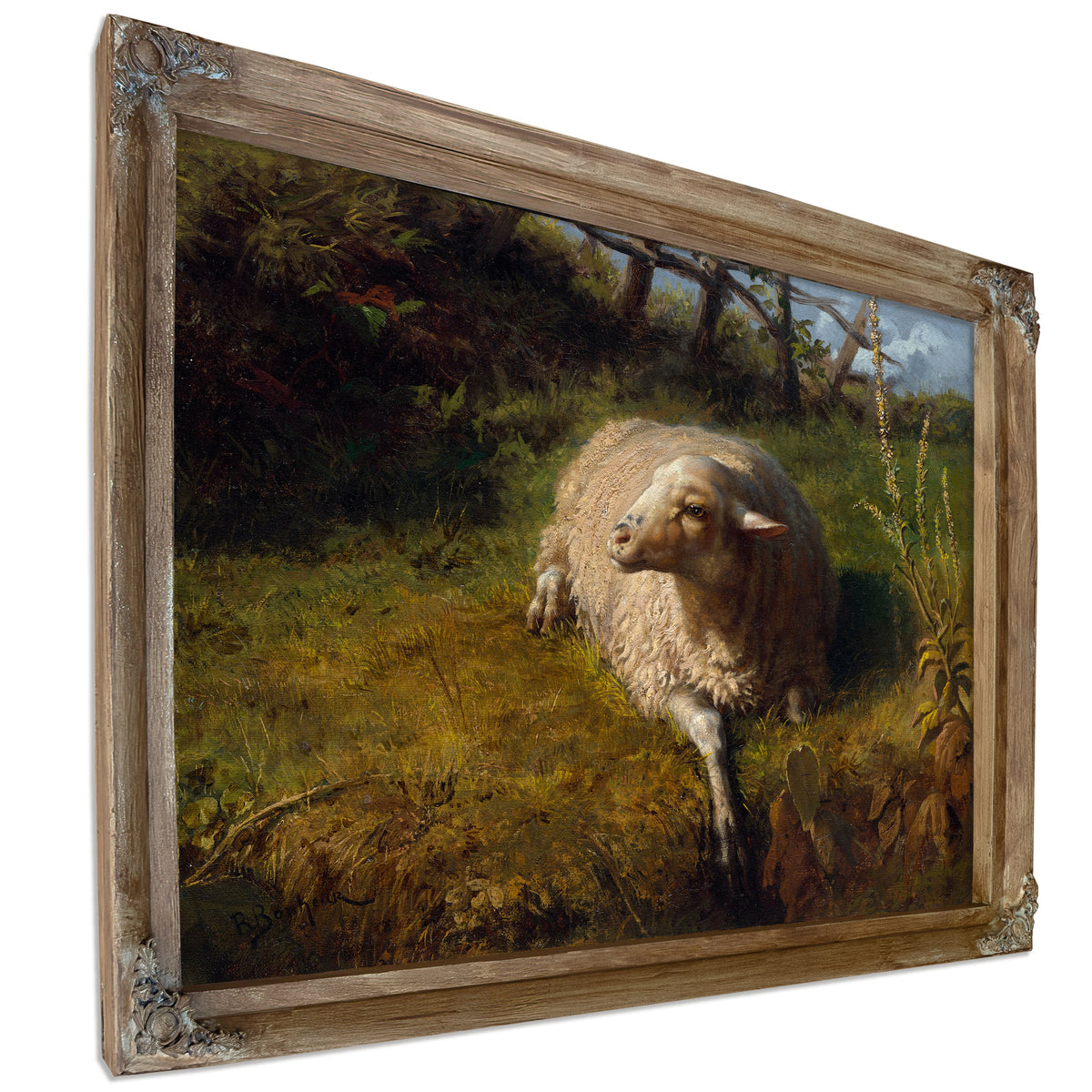 A Sheep Rest By Rosa Bonheur