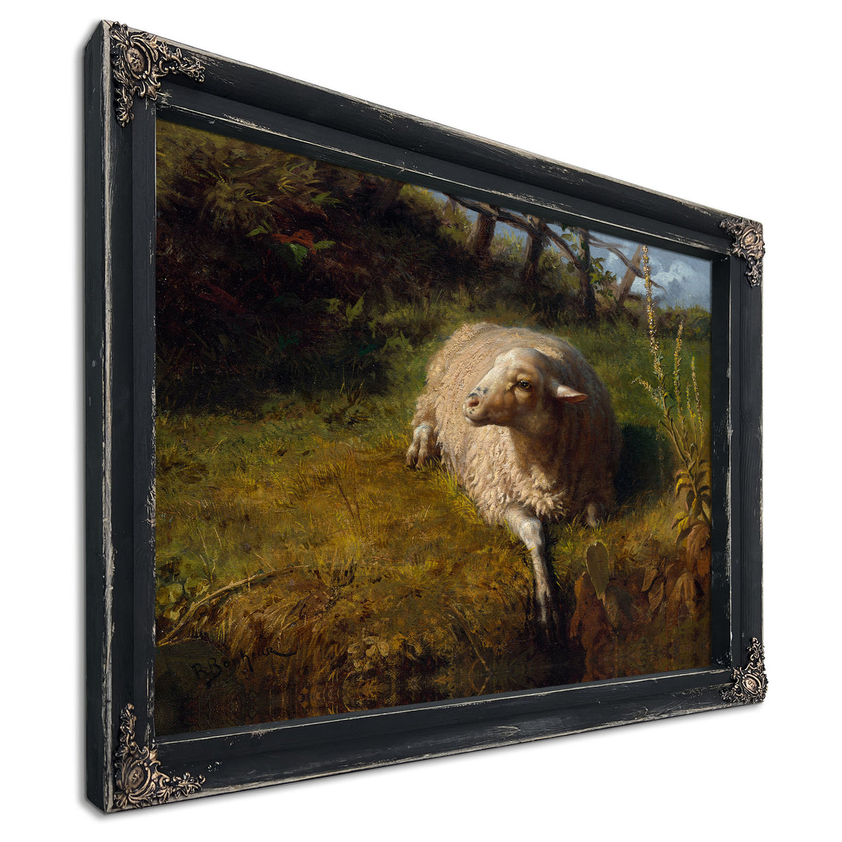 A Sheep Rest By Rosa Bonheur