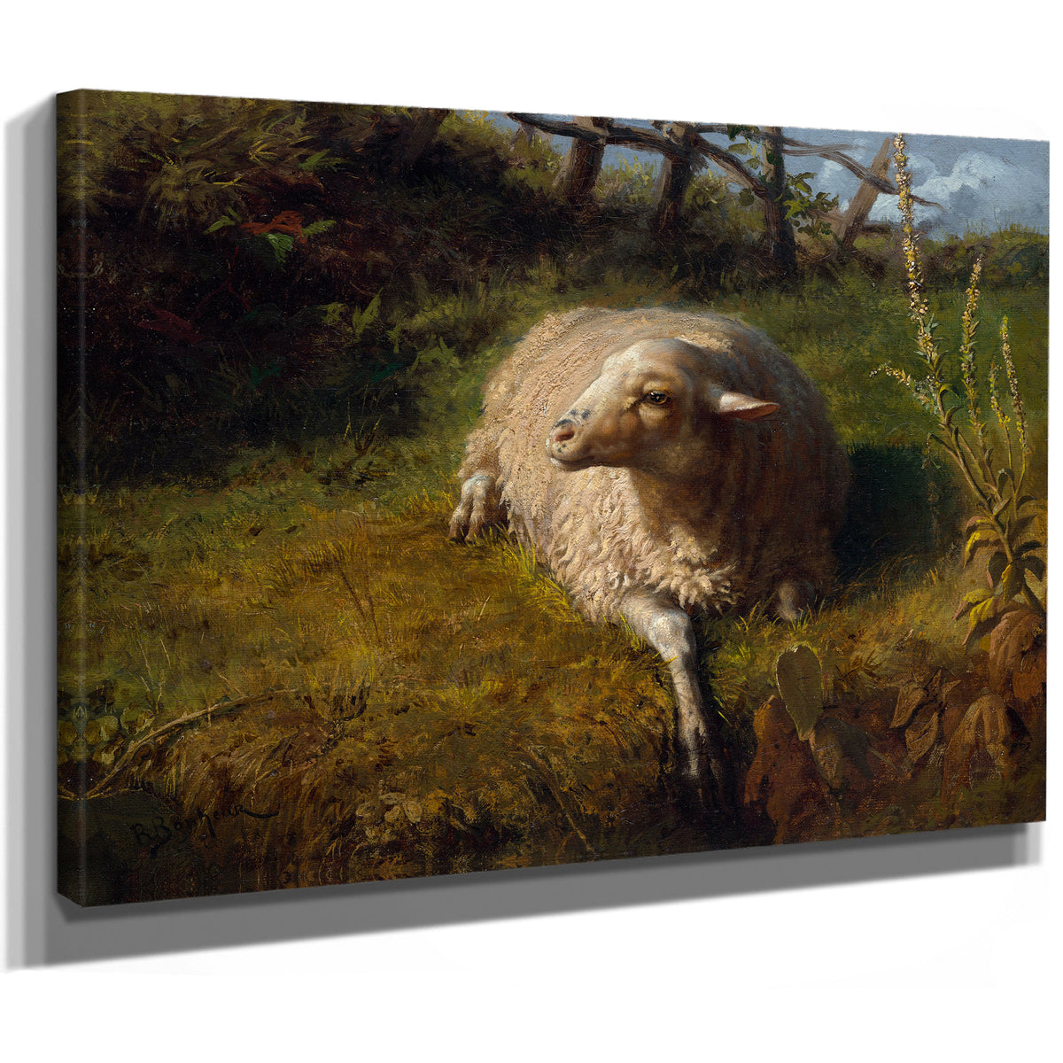 A Sheep Rest By Rosa Bonheur