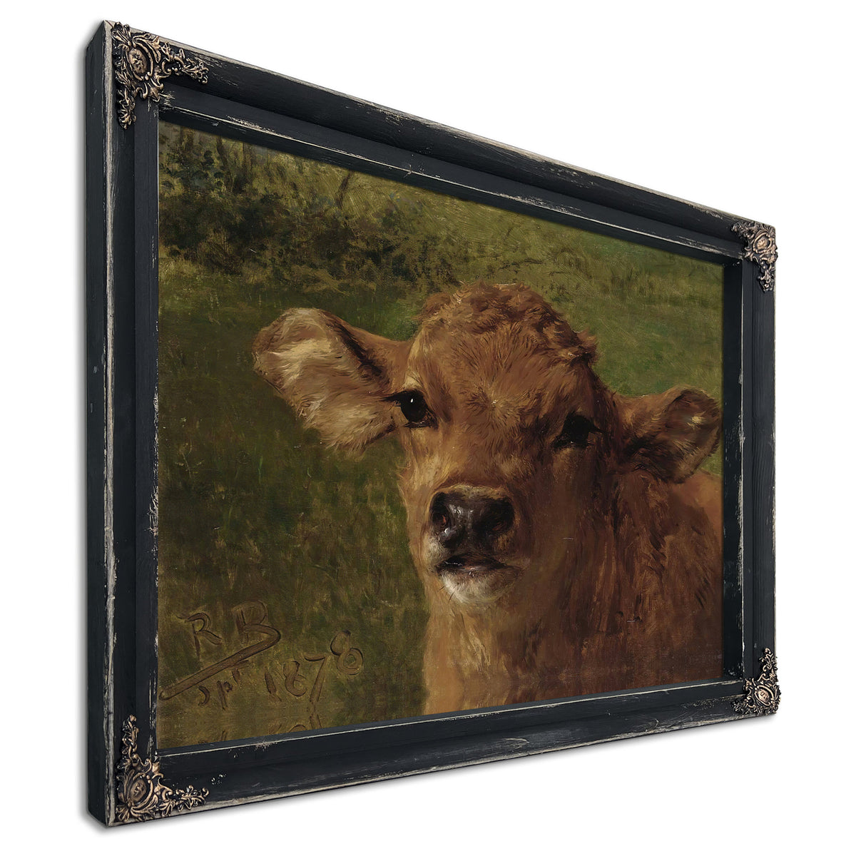 Head a Calf By Rosa Bonheur