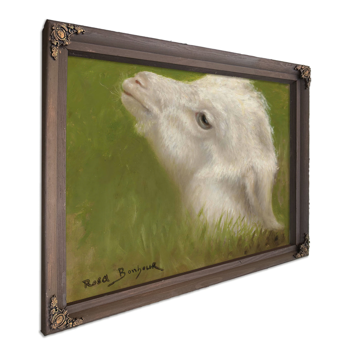 Head a Lamb By Rosa Bonheur