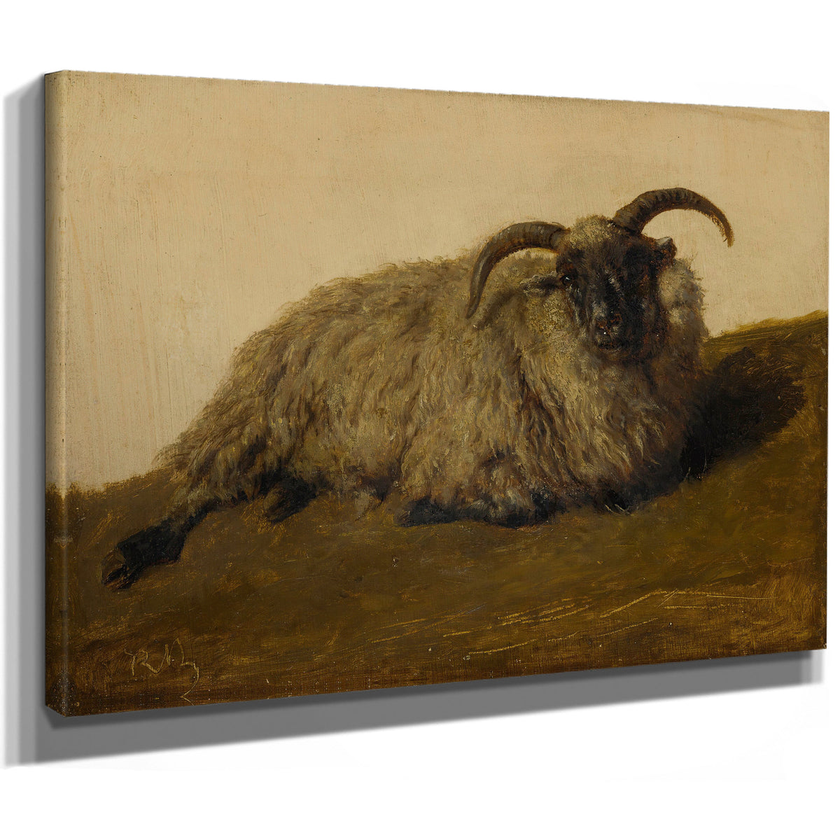 Le Merinos By Rosa Bonheur