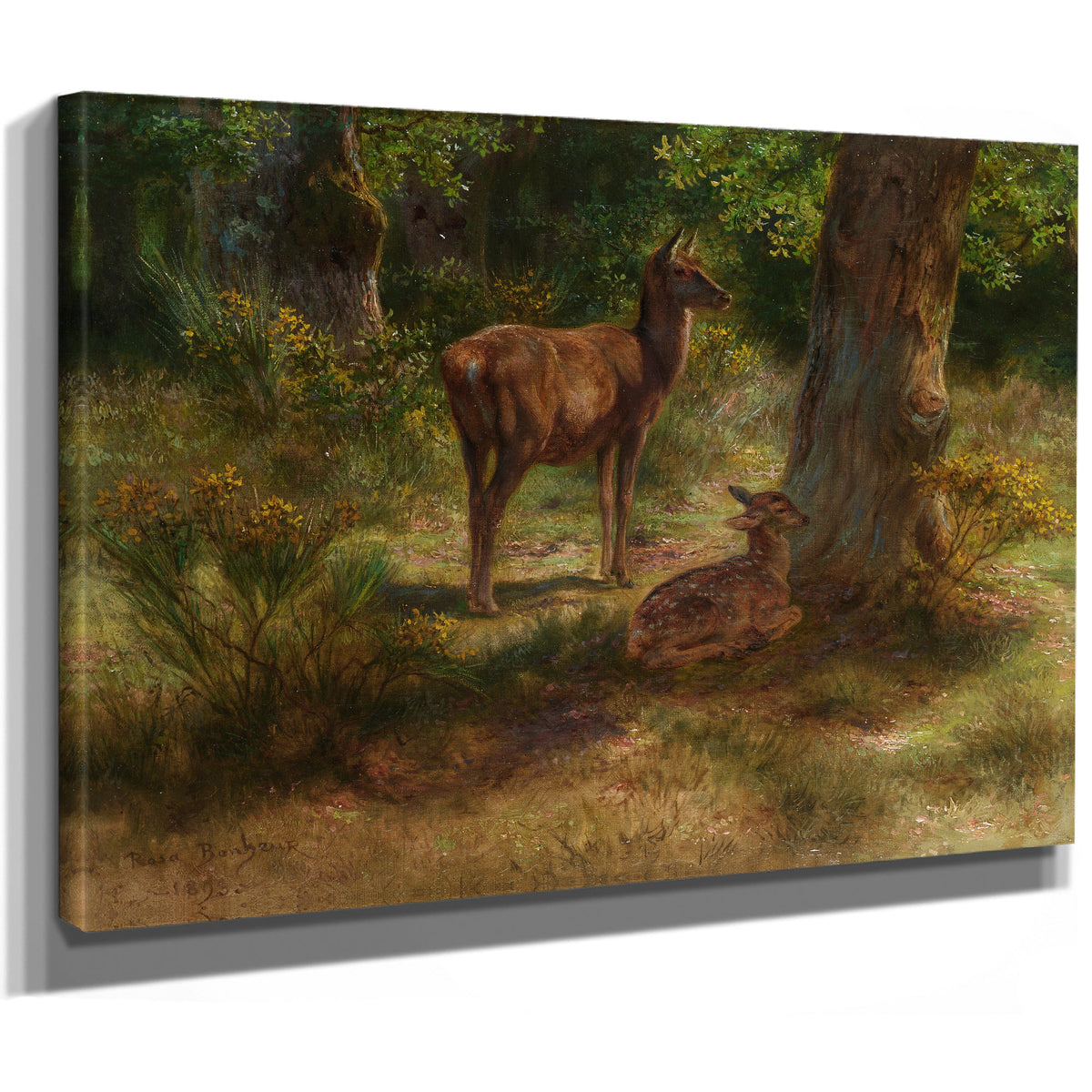 Les Cerfs et Les Fauves Dans Un Bois By Rosa Bonheur