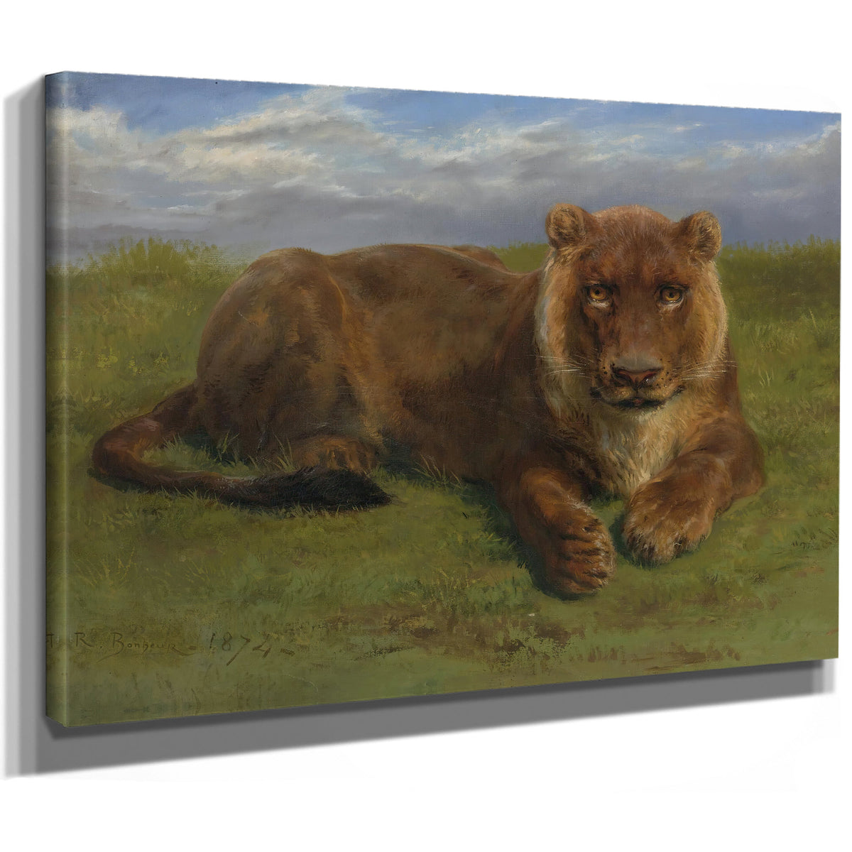 Lioness Rest By Rosa Bonheur