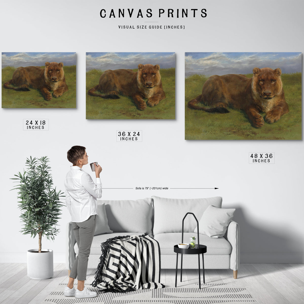 Lioness Rest By Rosa Bonheur