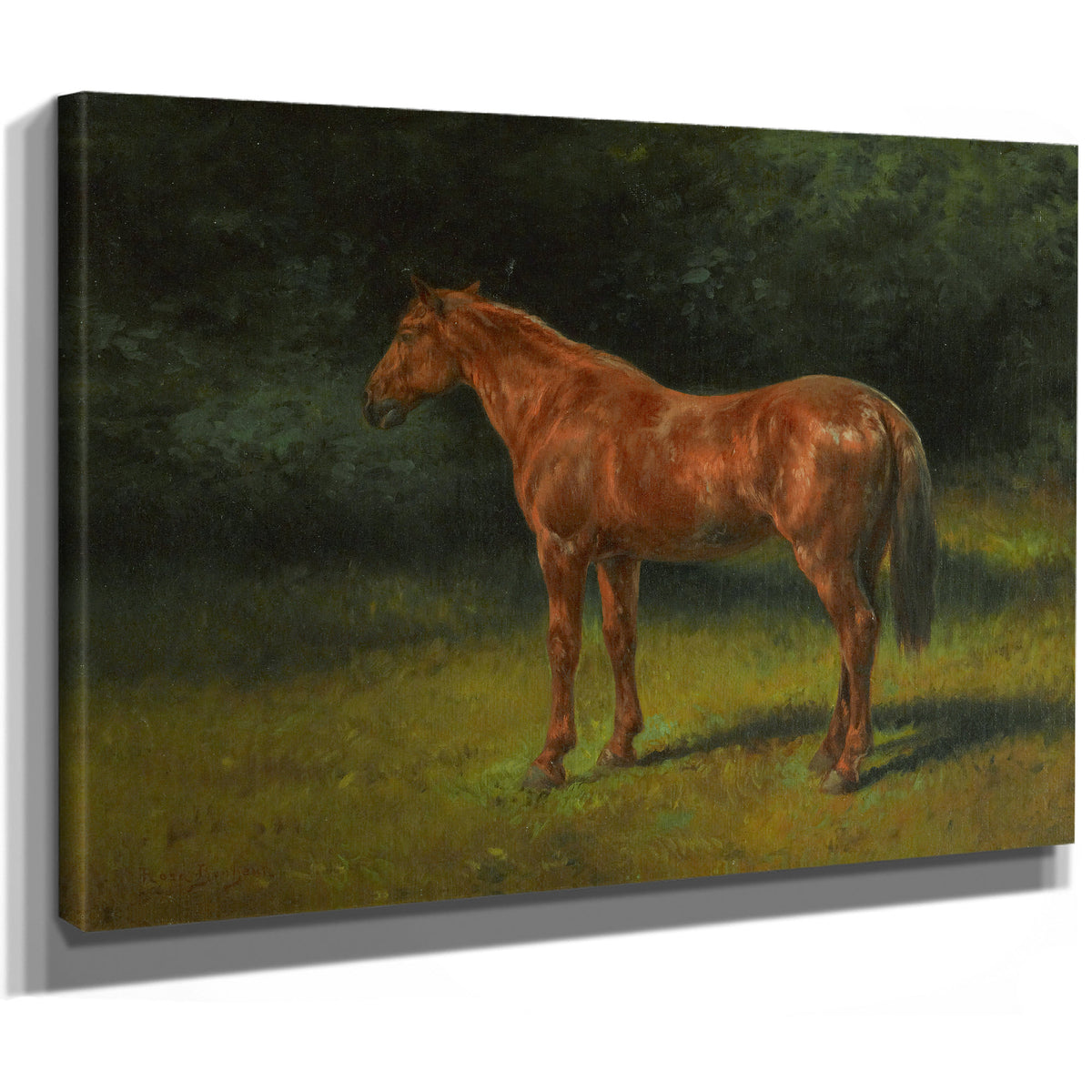 Loseille Rouge By Rosa Bonheur