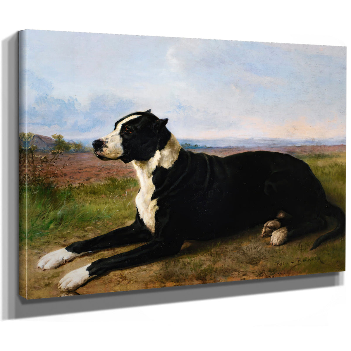 Portrait a Mastiff Labrador a By Rosa Bonheur
