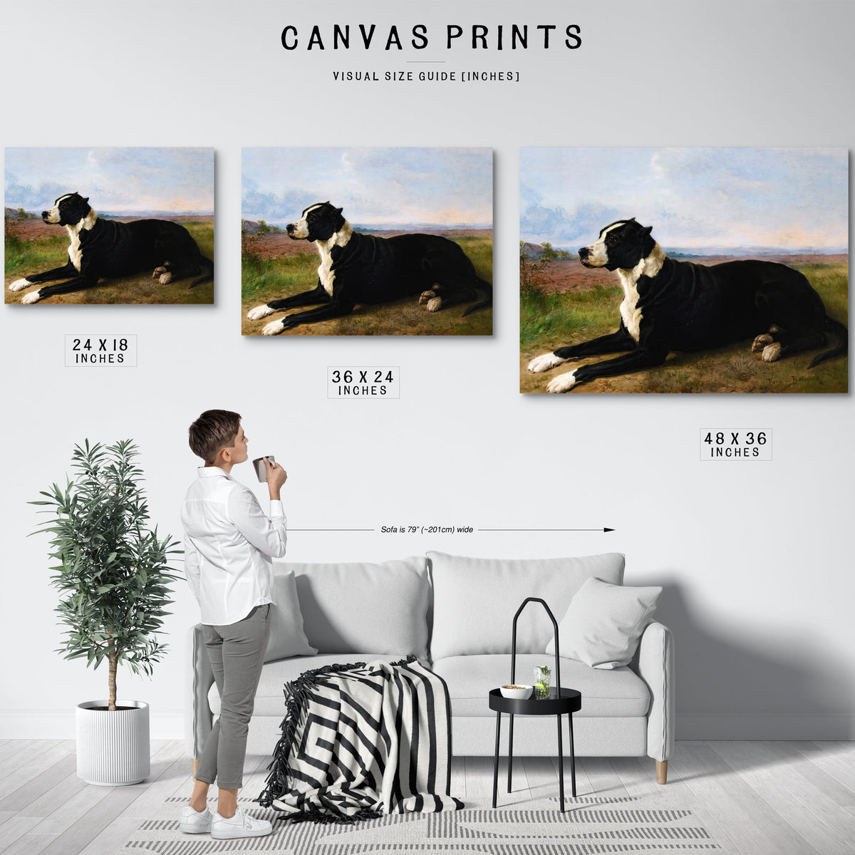 Portrait a Mastiff Labrador a By Rosa Bonheur