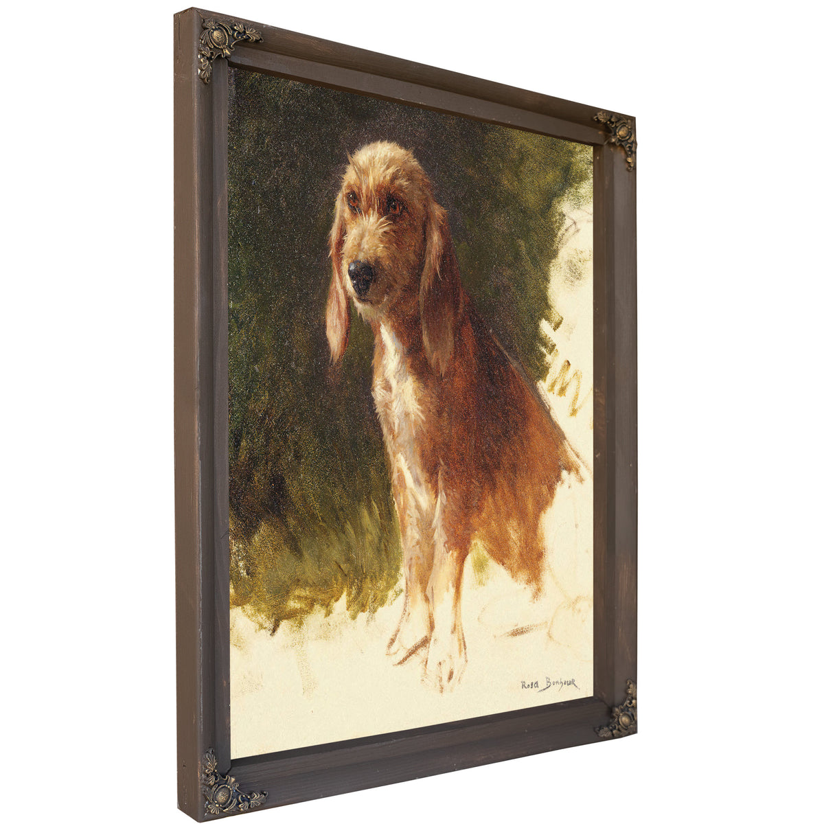 Study a Dog S By Rosa Bonheur