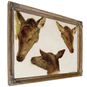 Study Deer Heads By Rosa Bonheur