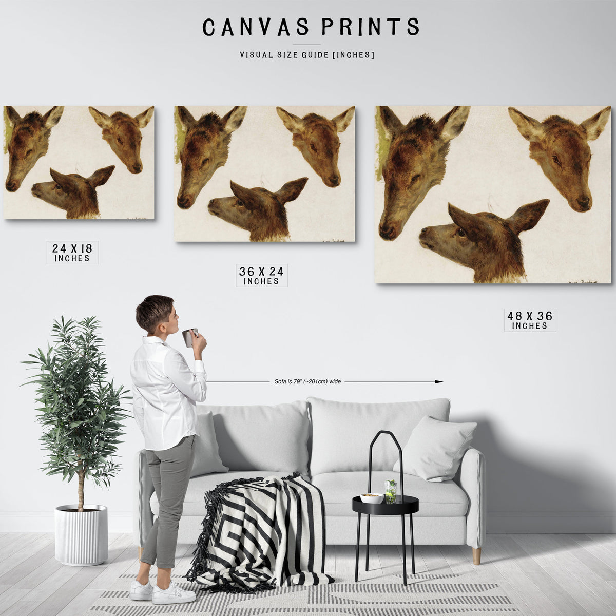 Study Deer Heads By Rosa Bonheur