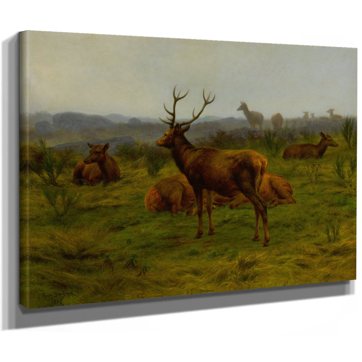 The Monarch the Herd By Rosa Bonheur