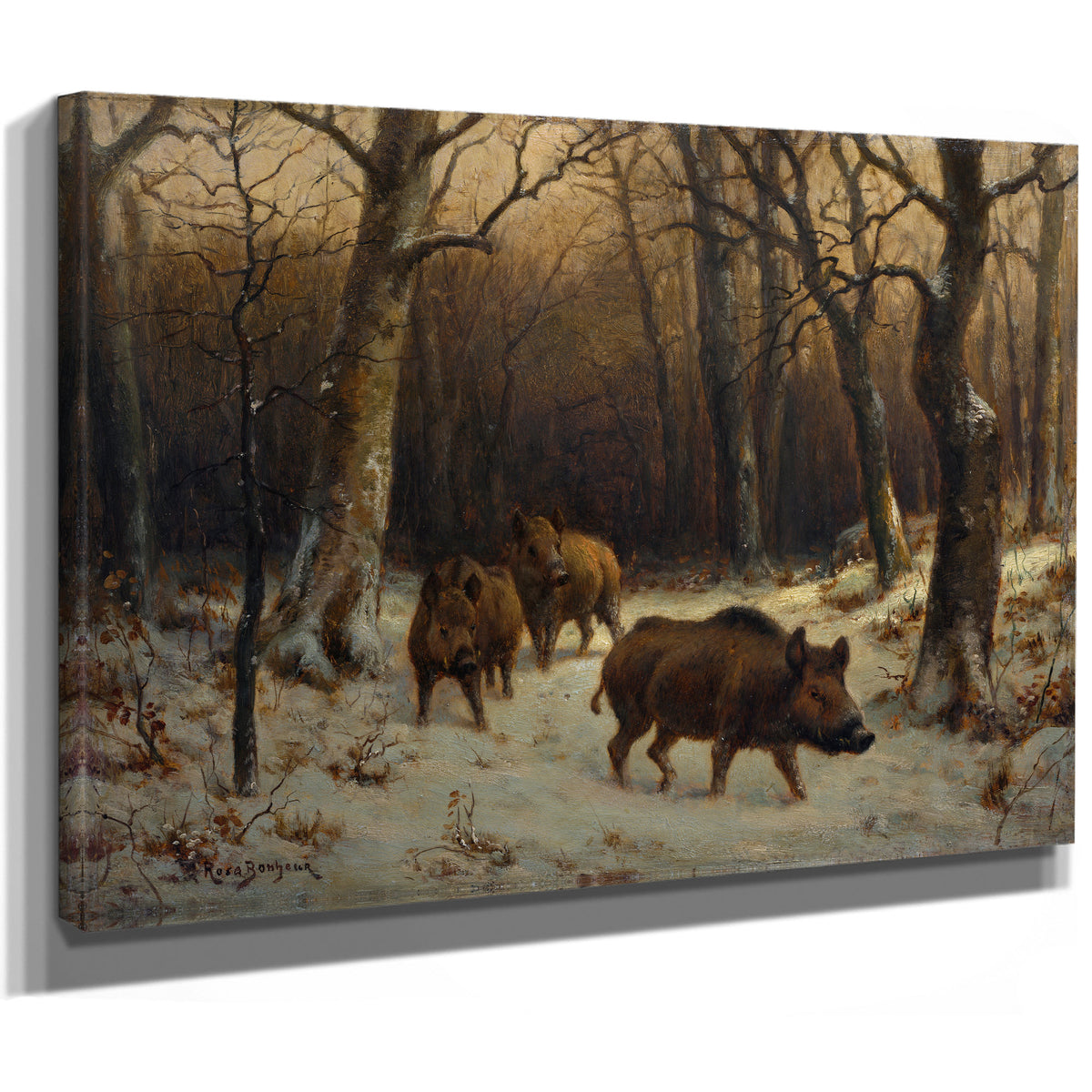 Wild Boars the Snow By Rosa Bonheur