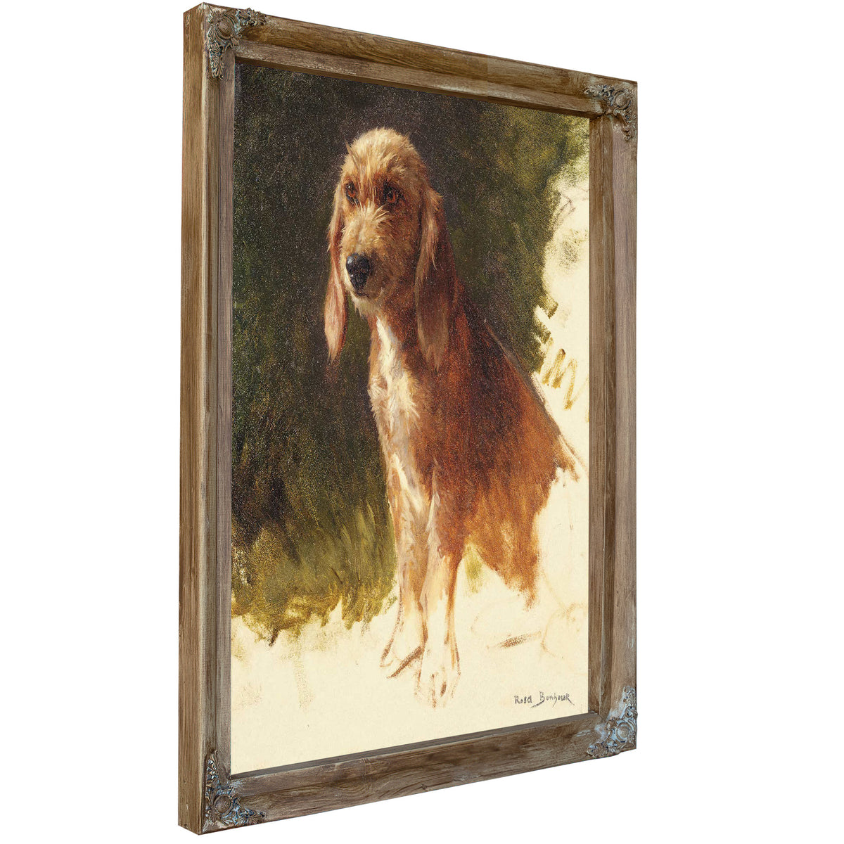 Study Of A Dog S by Rosa Bonheur
