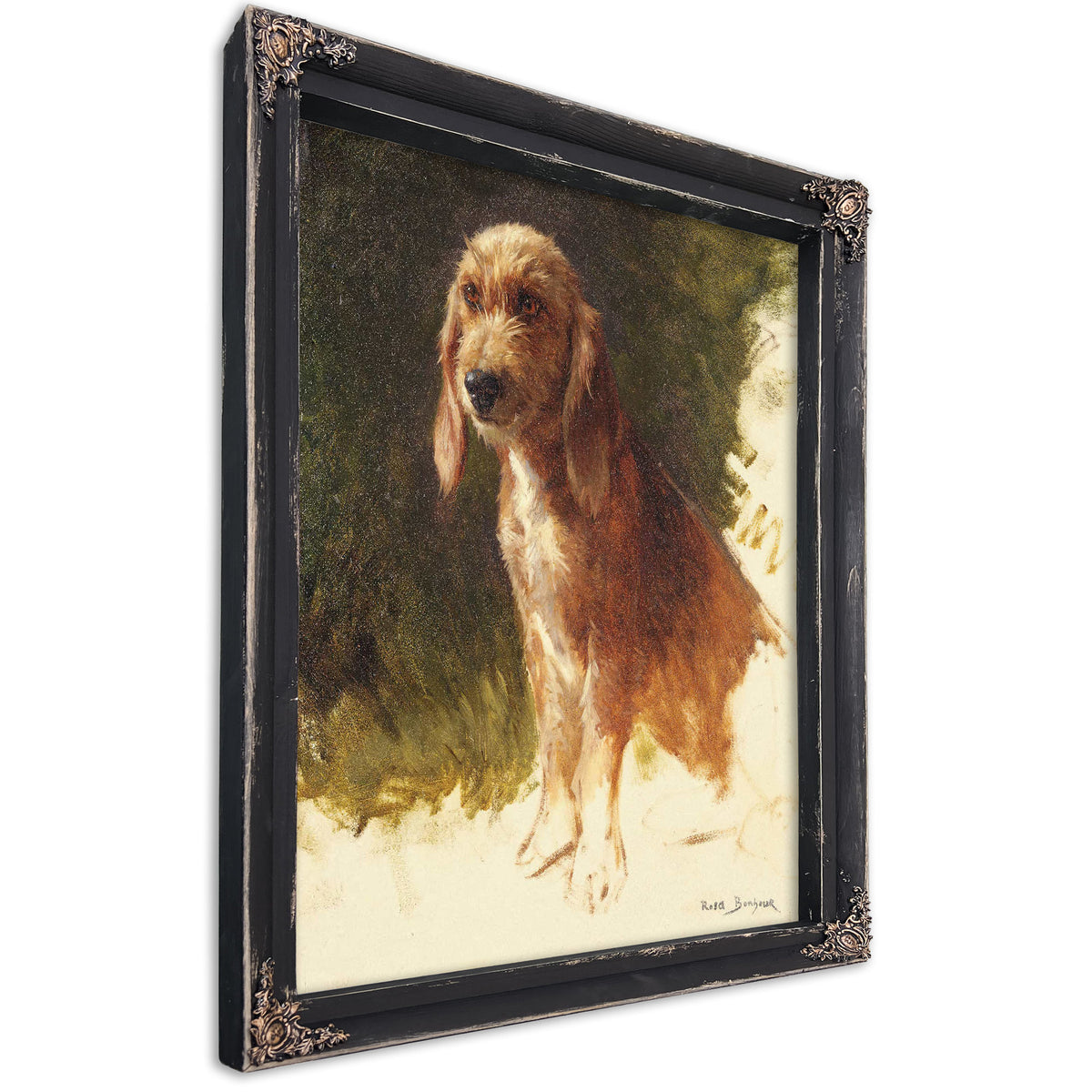 Study Of A Dog S by Rosa Bonheur