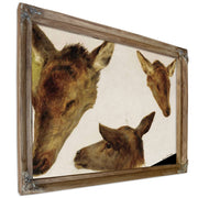 Study Of Deer Heads by Rosa Bonheur
