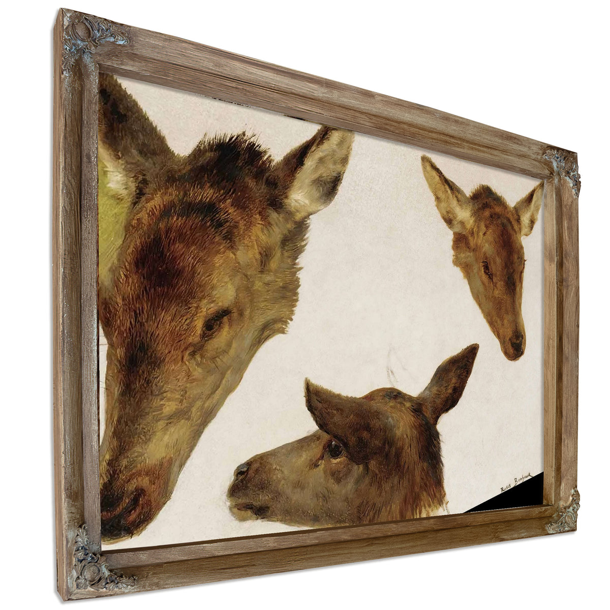 Study Of Deer Heads by Rosa Bonheur