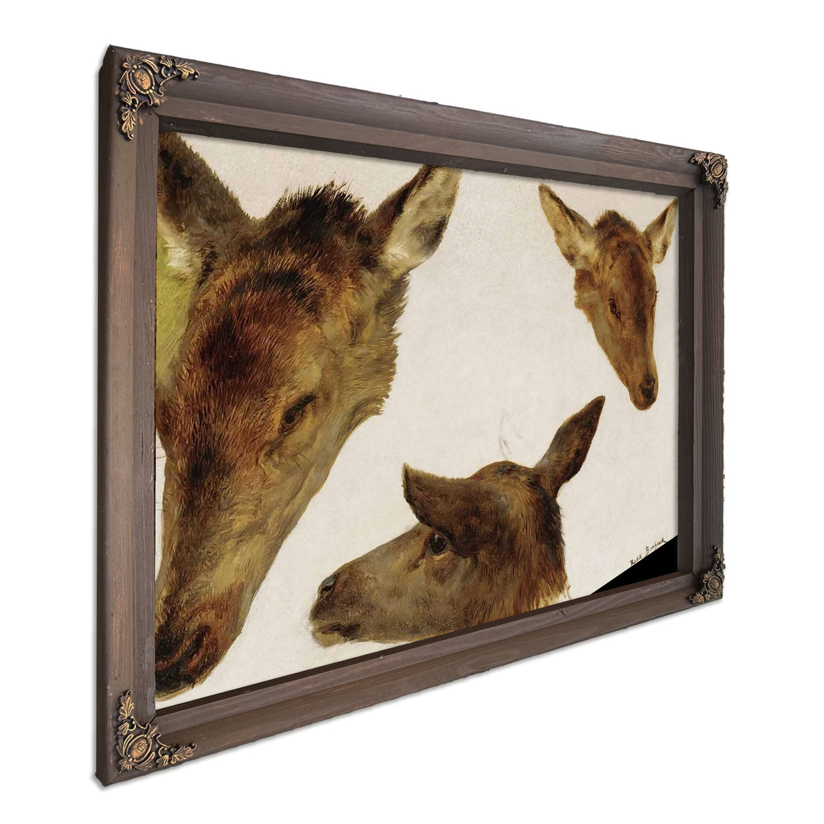 Study Of Deer Heads by Rosa Bonheur