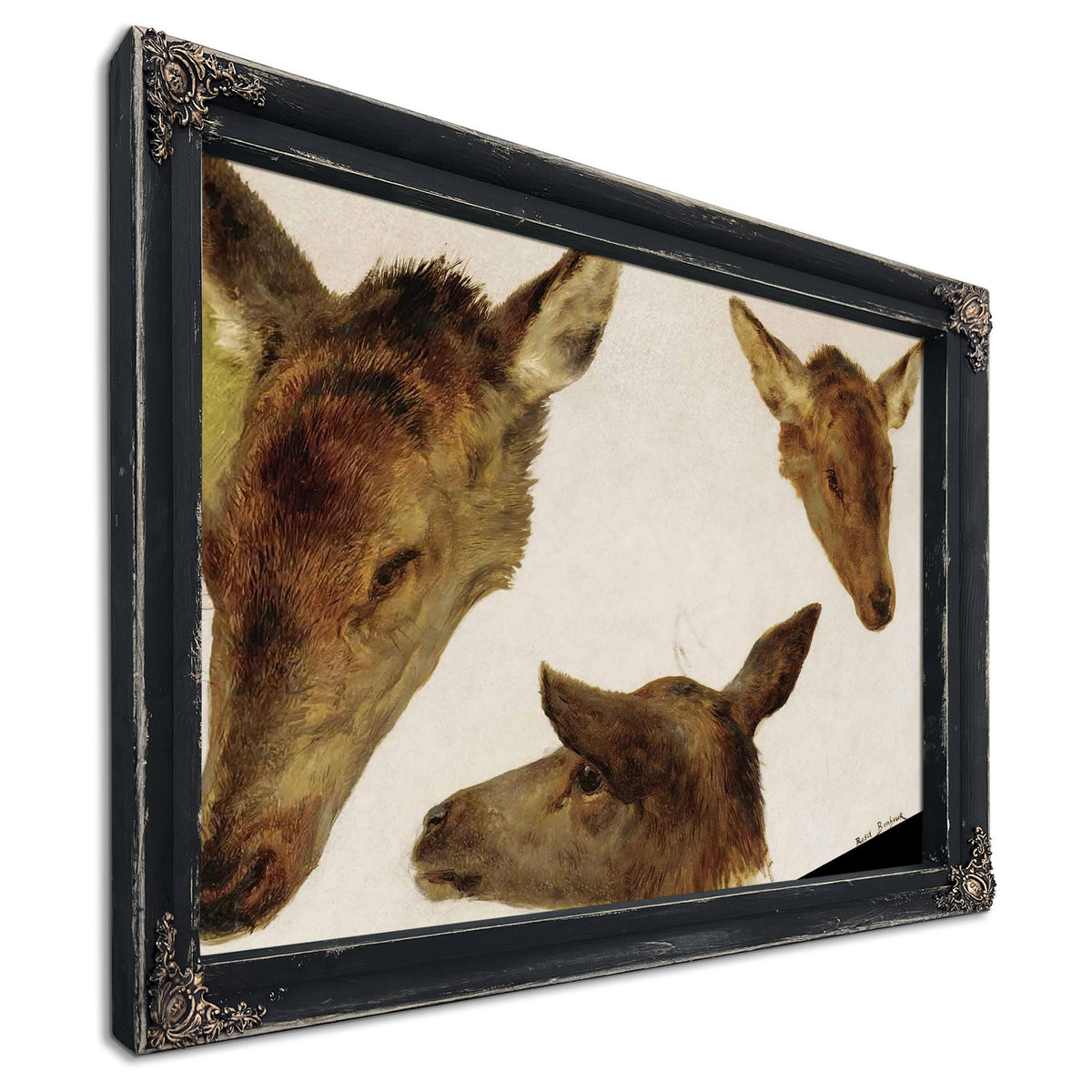 Study Of Deer Heads by Rosa Bonheur