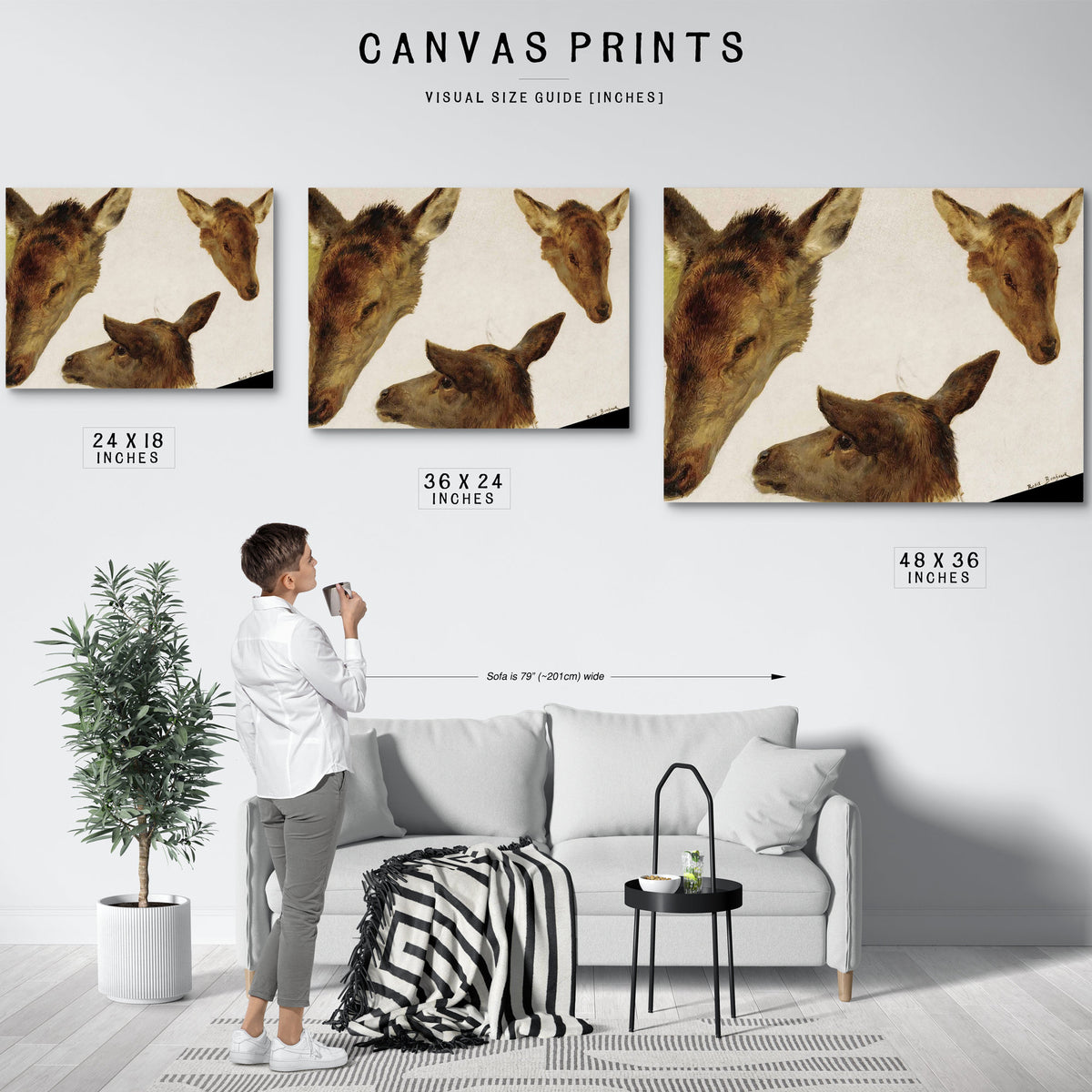 Study Of Deer Heads by Rosa Bonheur