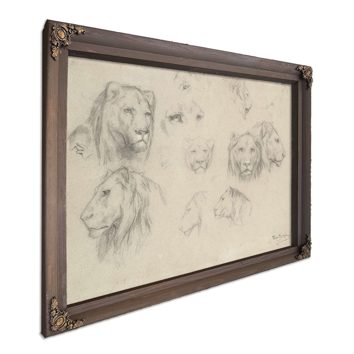 Study Of Lions And Lionesses by Rosa Bonheur