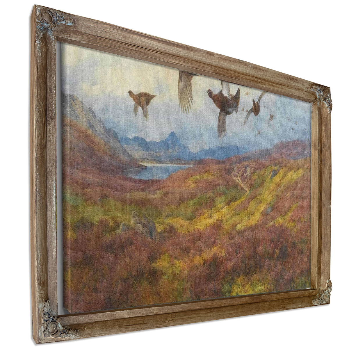 Swerving From The Guns Red Grouse by Archibald Thorburn