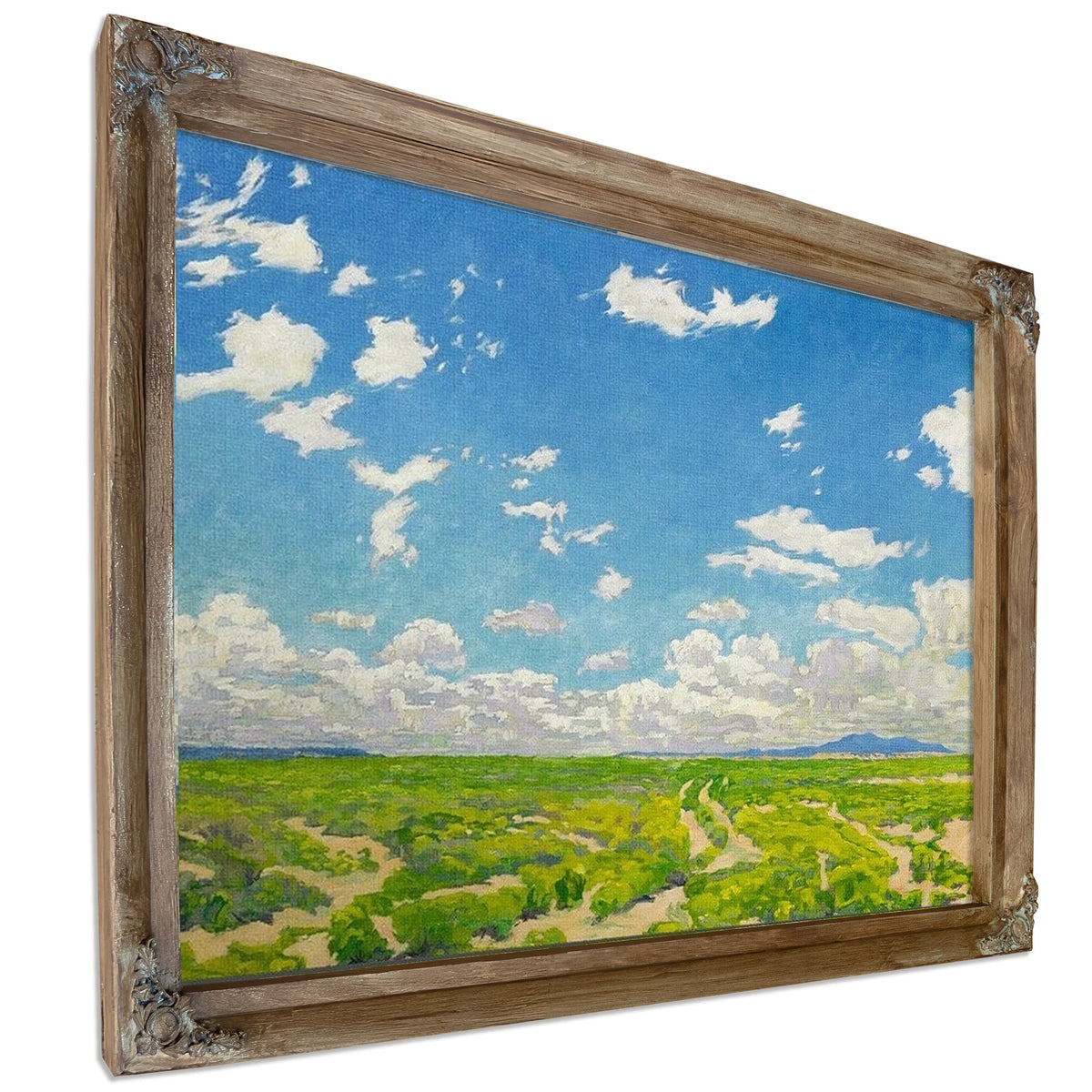 The American Desert By Walter Ufer