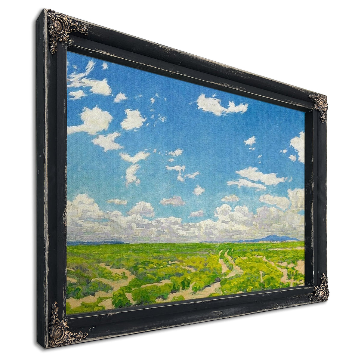 The American Desert By Walter Ufer