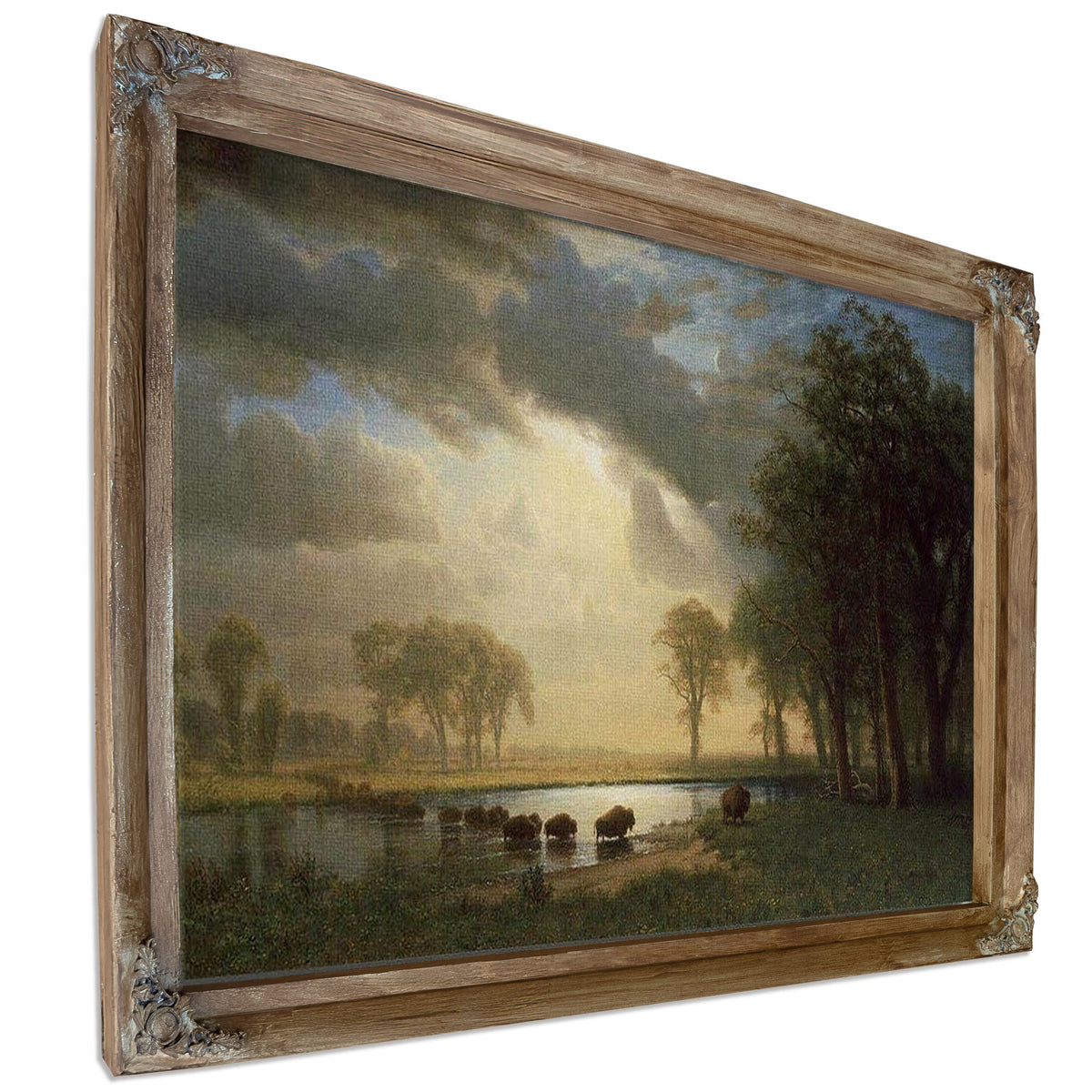 The Buffalo Trail By Albert Bierstadt