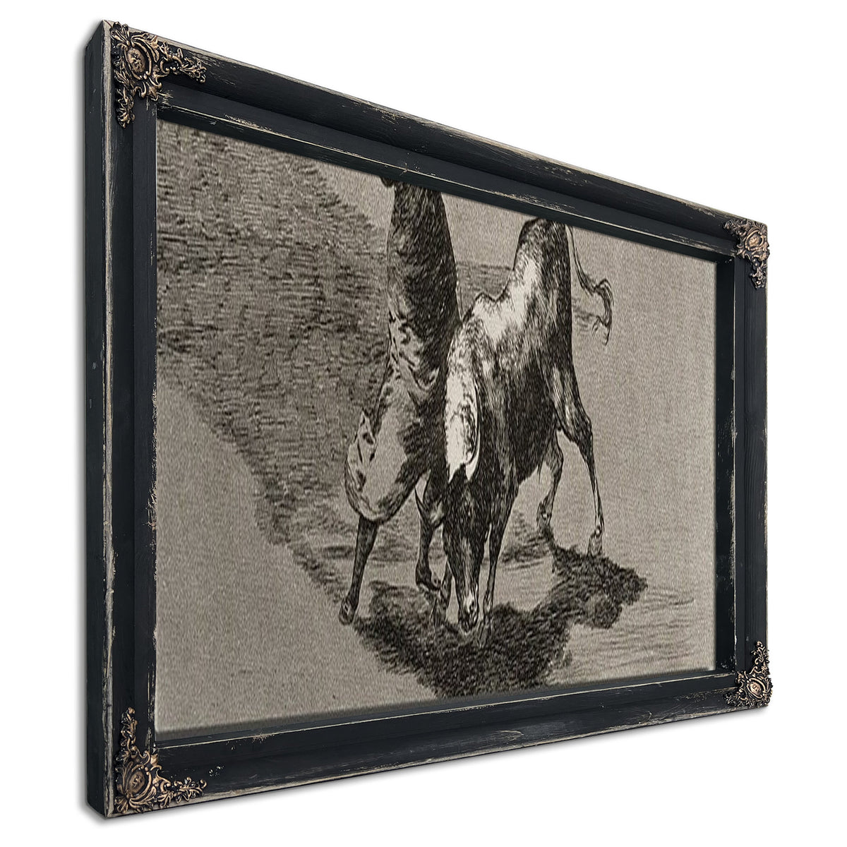 The Clever 'Student Of Falces' Infuriates The Bull By Moving About Wrapped In His Cloak Plate 14 From La Tauromaquia (The Art Of Bullfighting) By Francisco De Goya
