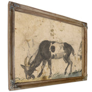 Study Goats About By The Elder