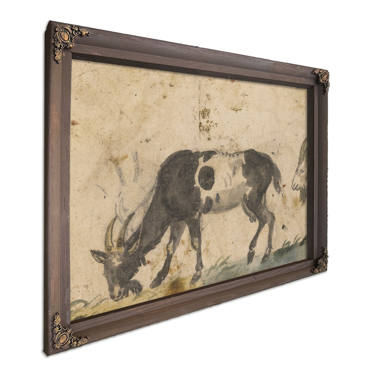 Study Goats About By The Elder