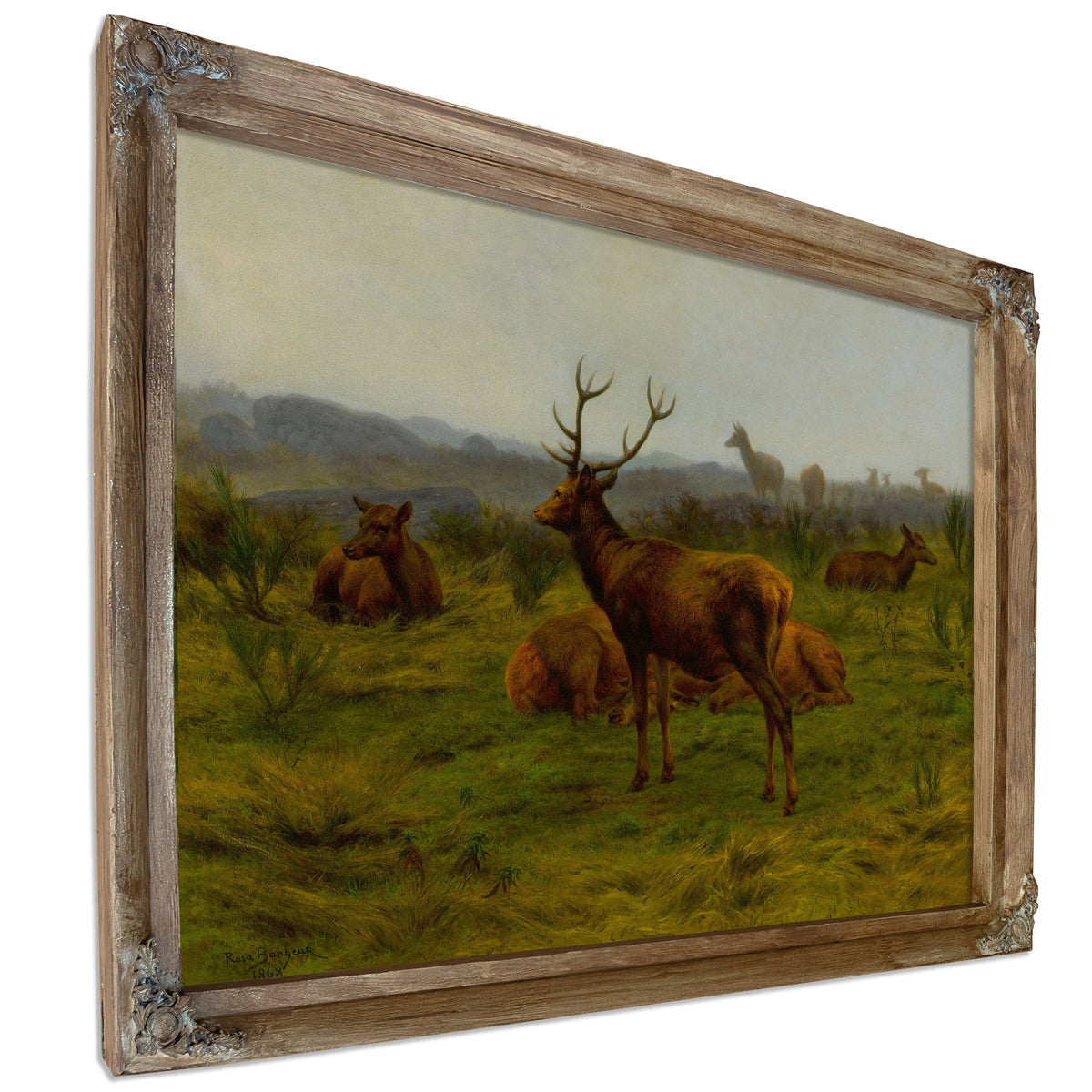 The Monarch Of The Herd by Rosa Bonheur