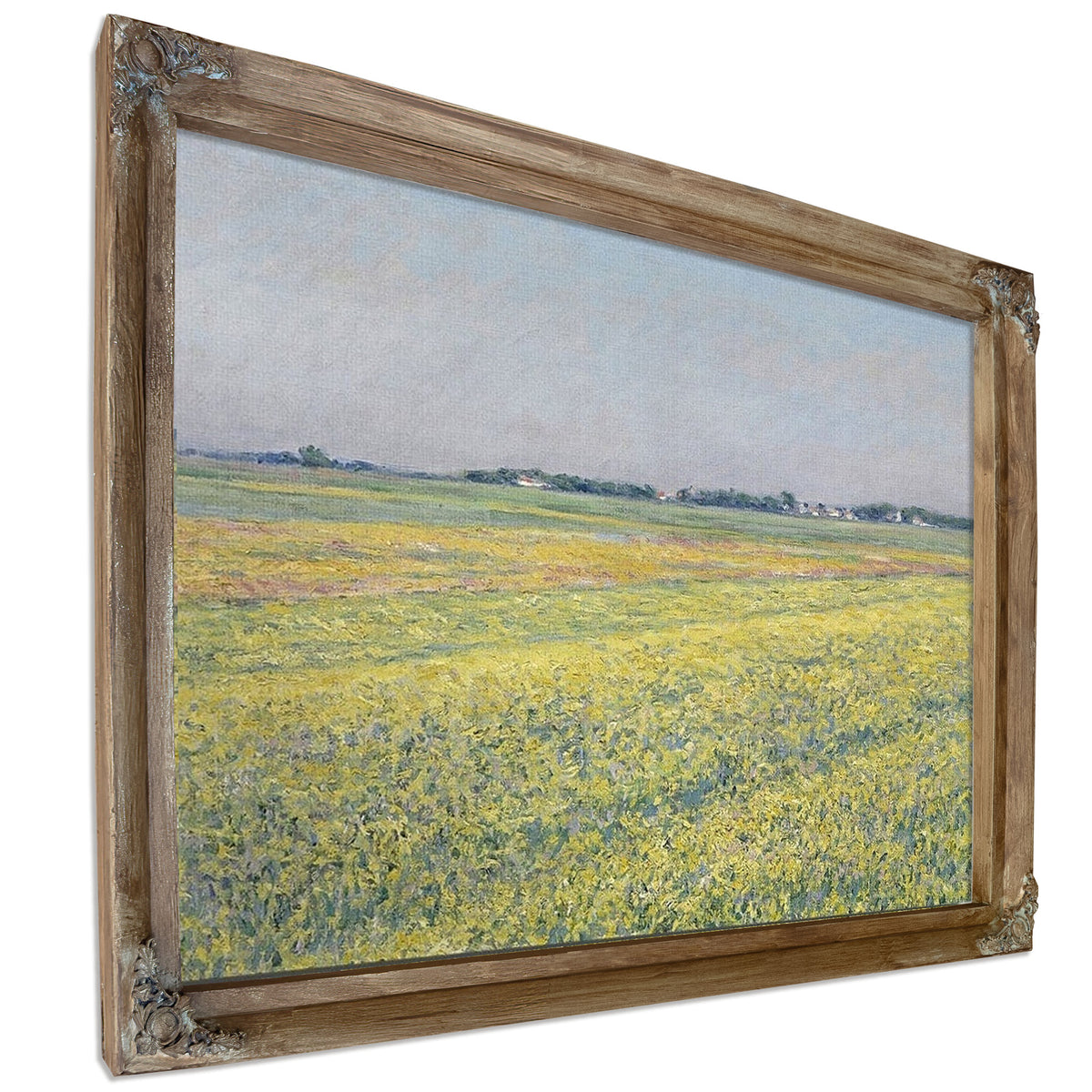 The Plain Of Gennevilliers, Yellow Fields By Gustave Caillebotte
