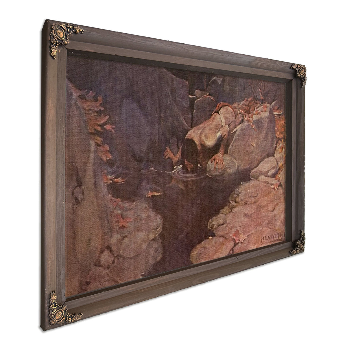 The Solitude Series By NC Wyeth