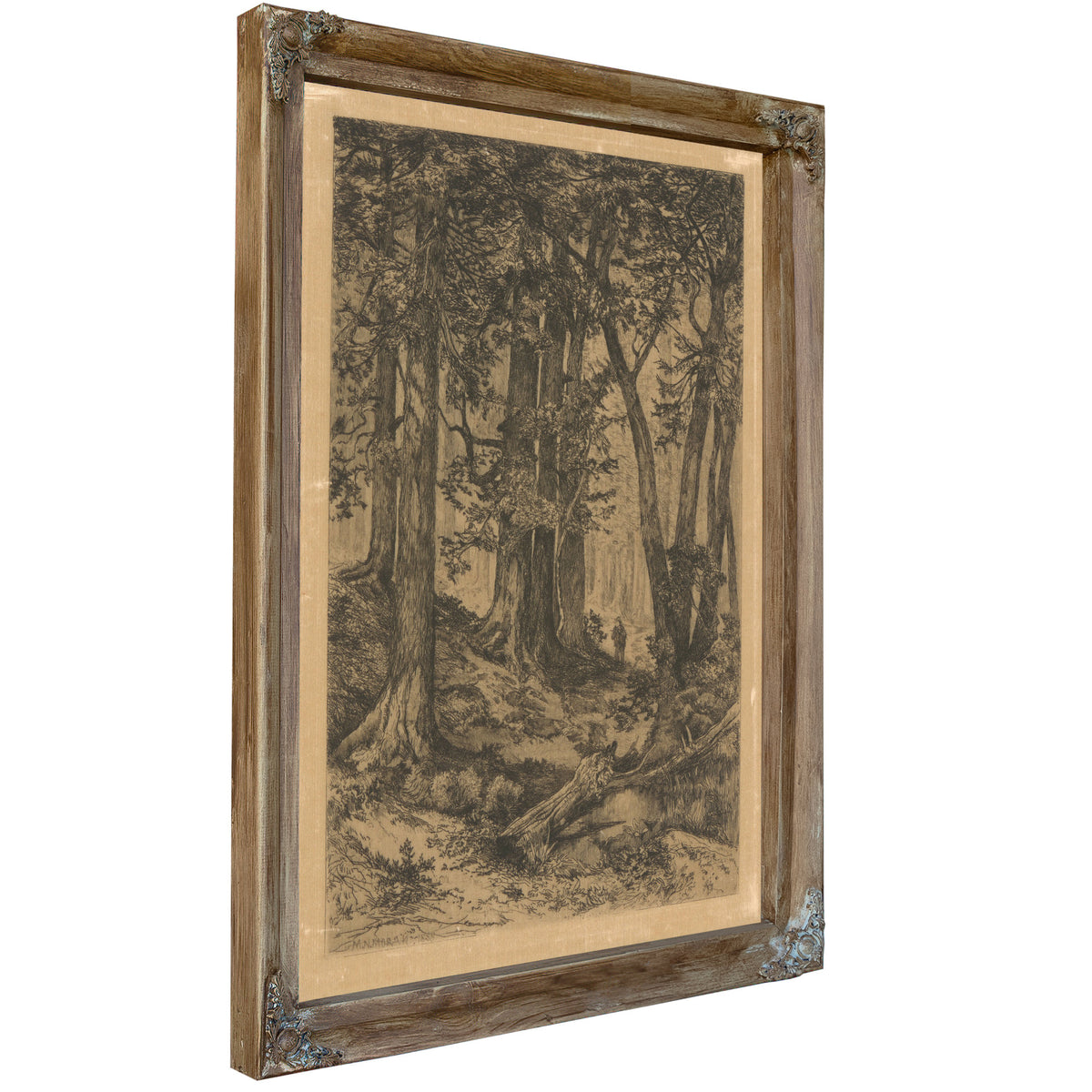 Edge the Forest 0001 By Thomas Moran