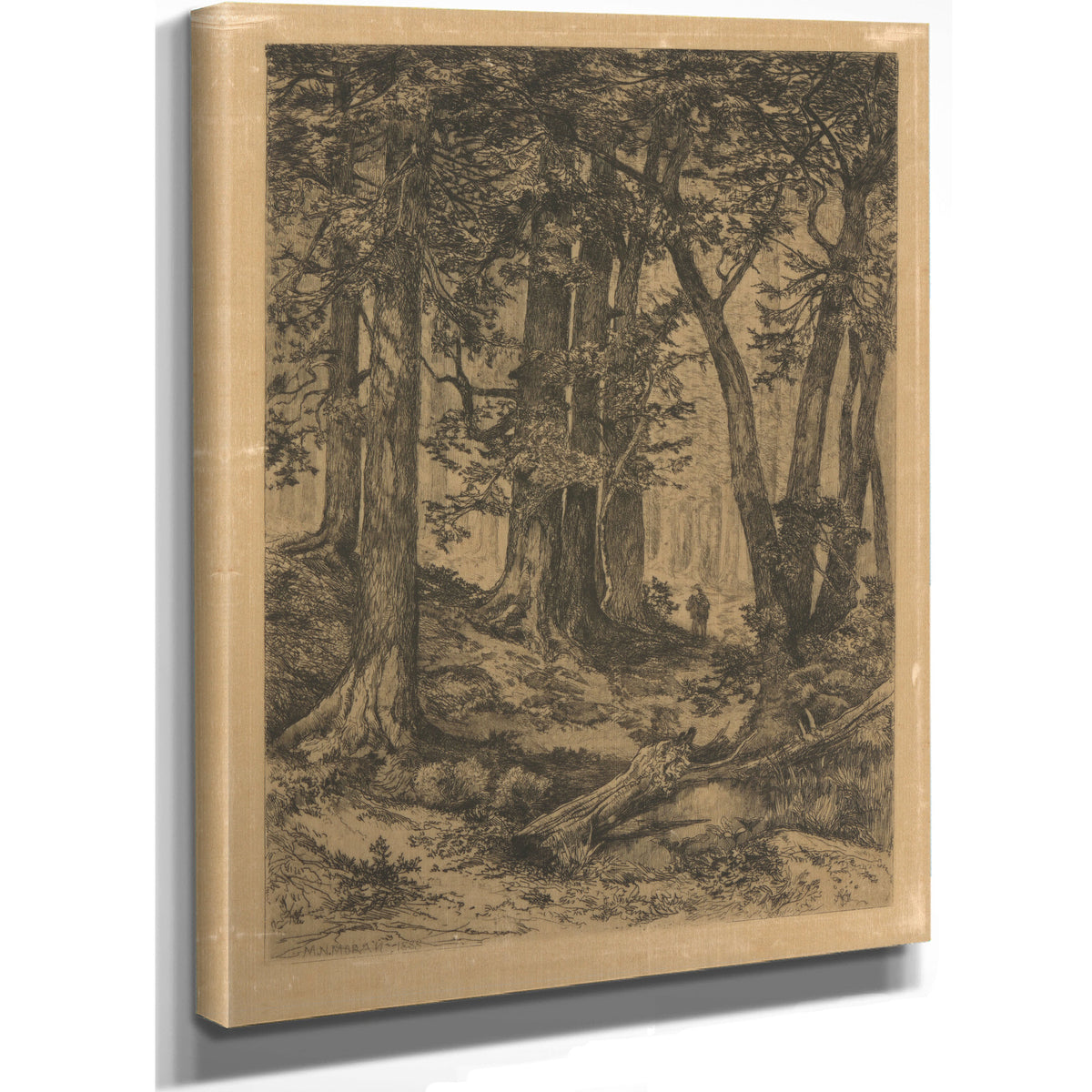 Edge the Forest 0001 By Thomas Moran