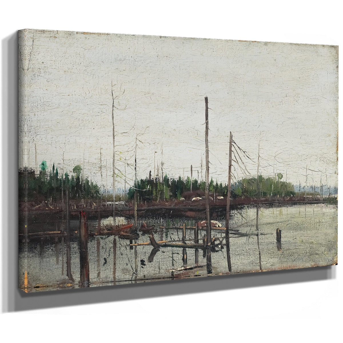 Drowned Land 02 By Tom Thomson