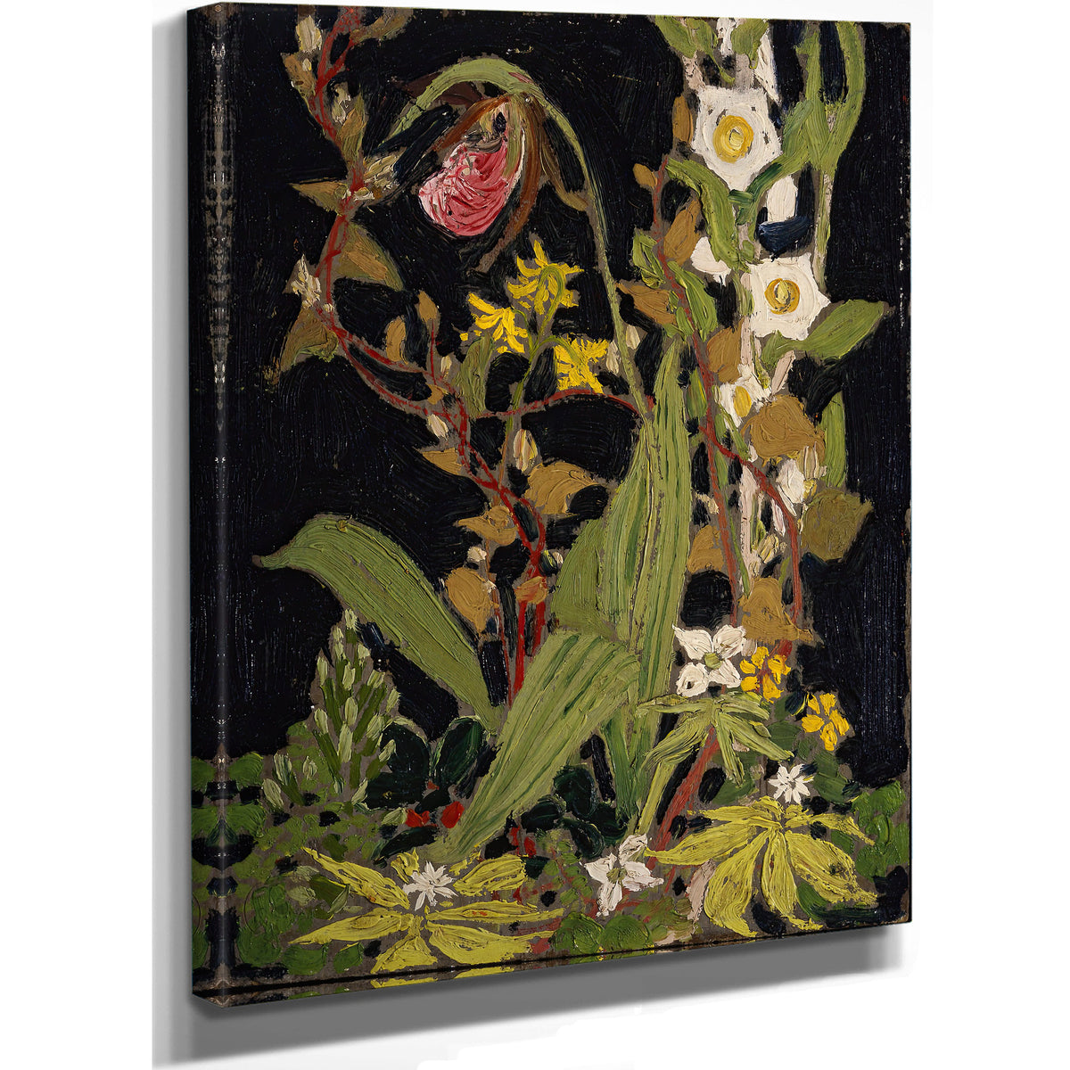 Moccasin Flower 02 By Tom Thomson