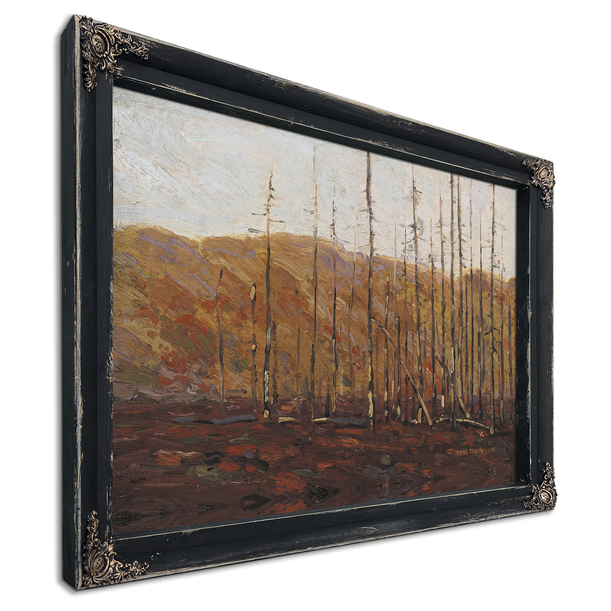 Thomson Autumn Algonquin Park Fall 02 By Tom Thomson